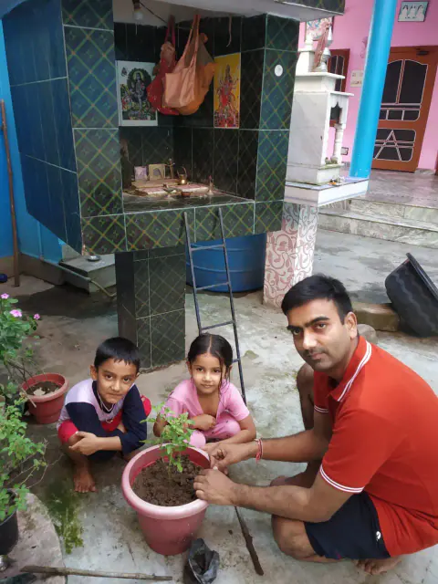 Tree Plantation 2023 – Punjab