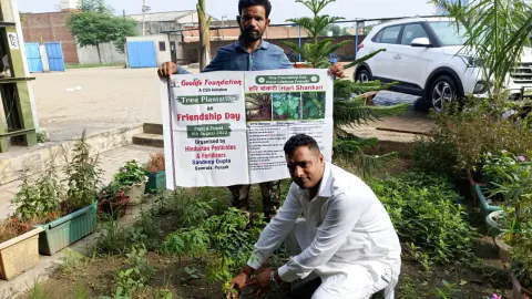 Tree Plantation 2023 – Punjab