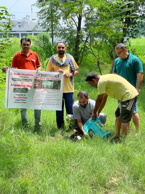 Tree Plantation 2023 – Punjab