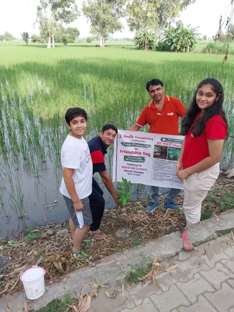 Tree Plantation 2023 – Punjab