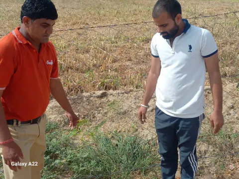 Tree Plantation 2023 – Rajasthan