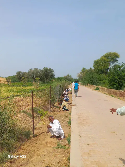 Tree Plantation 2023 – Rajasthan