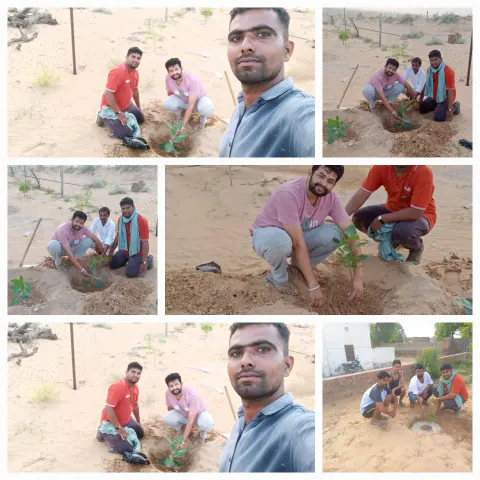 Tree Plantation 2023 – Rajasthan