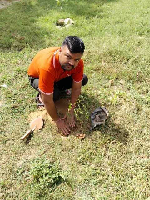 Tree Plantation 2023 – Rajasthan