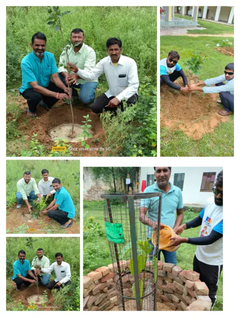 Tree Plantation 2023 – Rajasthan