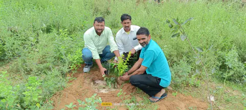 Tree Plantation 2023 – Rajasthan