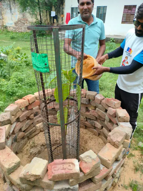 Tree Plantation 2023 – Rajasthan