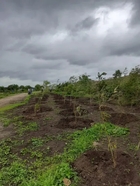 Tree Plantation 2023 – Research Farm