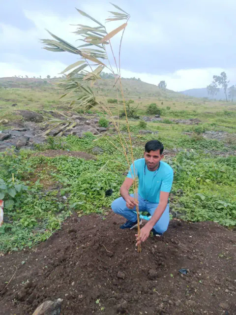 Tree Plantation 2023 – Research Farm