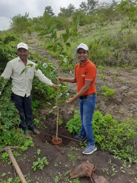 Tree Plantation 2023 – Research Farm