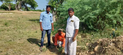 Tree Plantation 2023 – Tamil Nadu