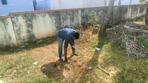 Tree Plantation 2023 – Tamil Nadu