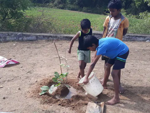 Tree Plantation 2023 – Tamil Nadu