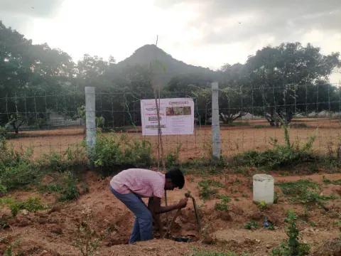 Tree Plantation 2023 – Tamil Nadu