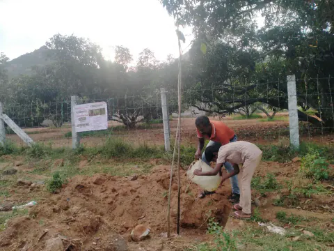 Tree Plantation 2023 – Tamil Nadu