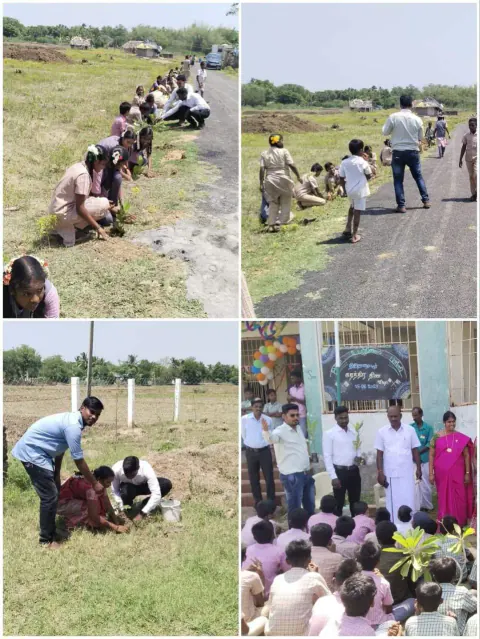 Tree Plantation 2023 – Tamil Nadu