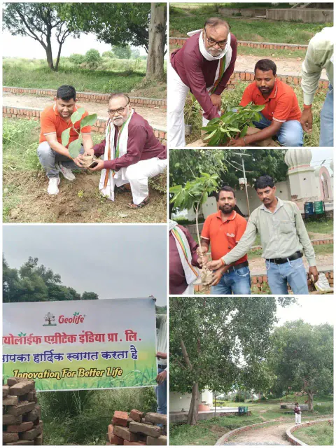 Tree Plantation 2023 – Uttar Pradesh