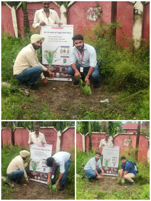 Tree Plantation 2023 – Uttar Pradesh