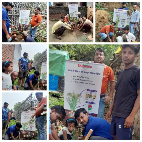 Tree Plantation 2023 – Uttar Pradesh