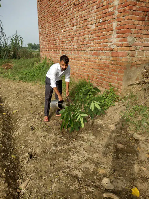 Tree Plantation 2023 – Uttar Pradesh