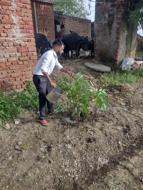 Tree Plantation 2023 – Uttar Pradesh
