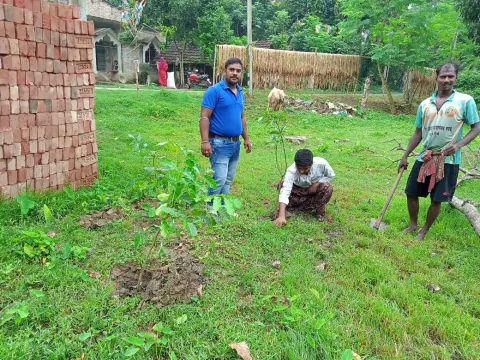 Tree Plantation 2023 – West Bengal