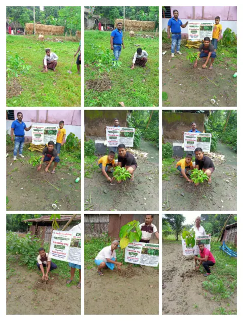 Tree Plantation 2023 – West Bengal