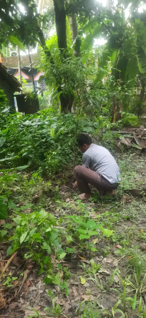 Tree Plantation 2023 – West Bengal