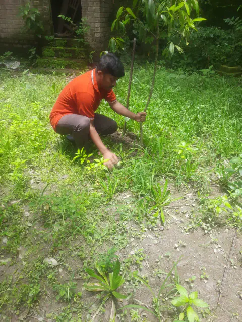 Tree Plantation 2023 – West Bengal