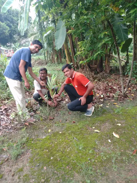 Tree Plantation 2023 – West Bengal