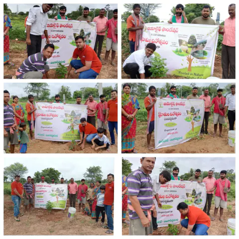 Tree Plantation 2024 – Andhra Pradesh & Telangana