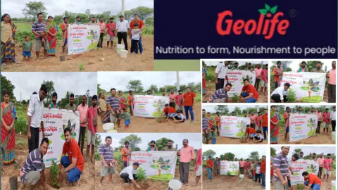 Tree Plantation 2024 – Andhra Pradesh & Telangana