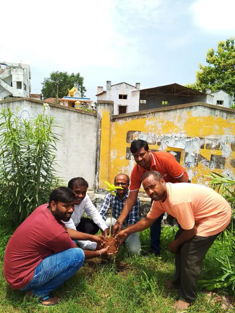 Tree Plantation 2024 – Andhra Pradesh & Telangana