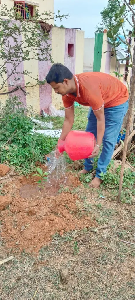 Tree Plantation 2024 – Andhra Pradesh & Telangana