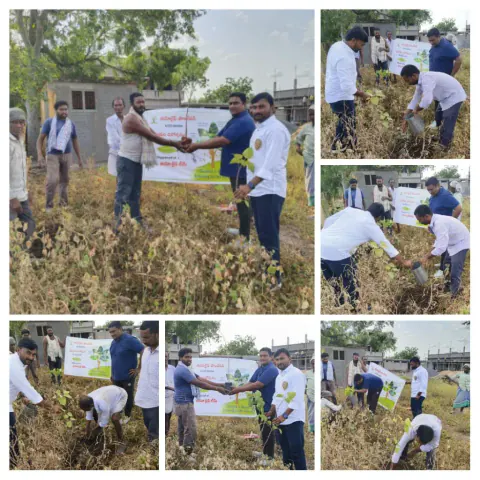 Tree Plantation 2024 – Andhra Pradesh & Telangana