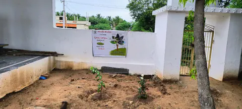 Tree Plantation 2024 – Andhra Pradesh & Telangana