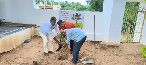 Tree Plantation 2024 – Andhra Pradesh & Telangana