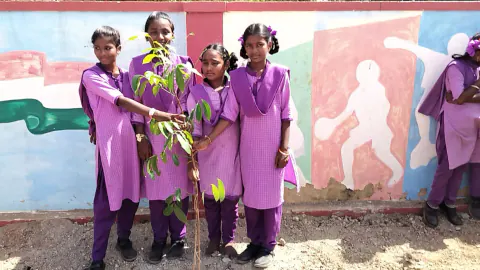 Tree Plantation 2024 – Andhra Pradesh & Telangana