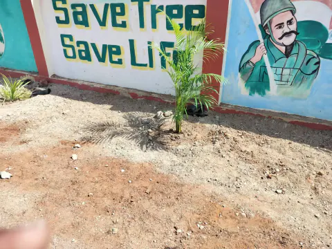 Tree Plantation 2024 – Andhra Pradesh & Telangana
