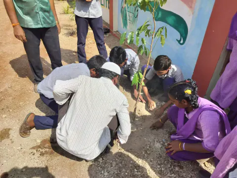 Tree Plantation 2024 – Andhra Pradesh & Telangana