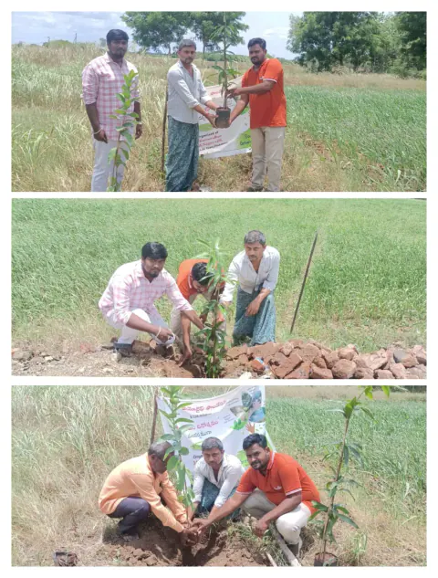 Tree Plantation 2024 – Andhra Pradesh & Telangana