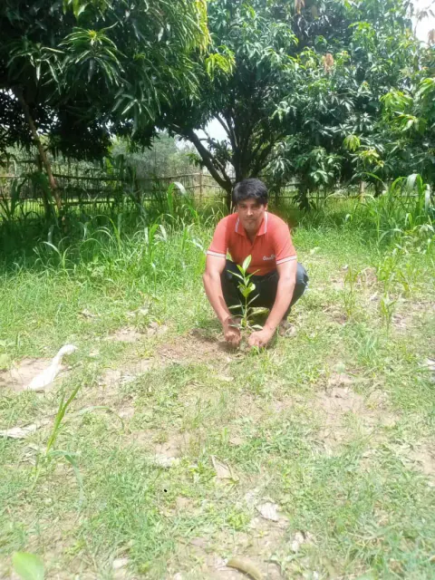 Tree Plantation 2024 – Bihar