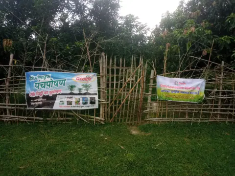 Tree Plantation 2024 – Bihar