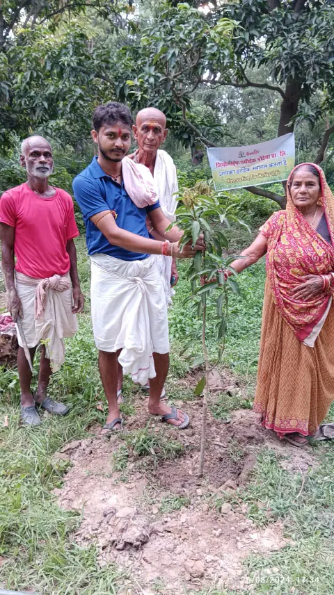 Tree Plantation 2024 – Bihar