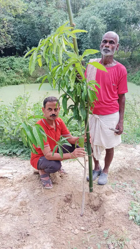 Tree Plantation 2024 – Bihar