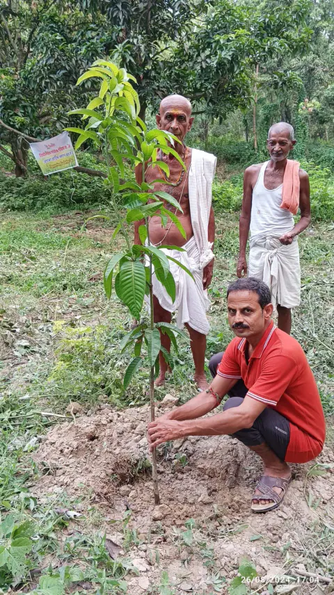 Tree Plantation 2024 – Bihar