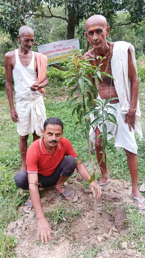 Tree Plantation 2024 – Bihar