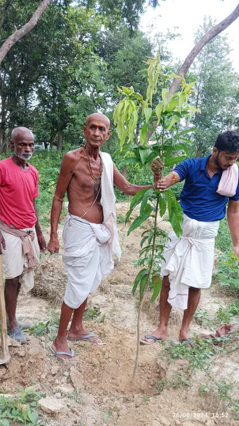 Tree Plantation 2024 – Bihar