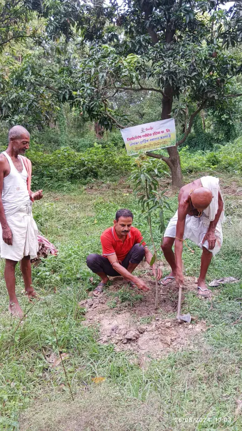 Tree Plantation 2024 – Bihar