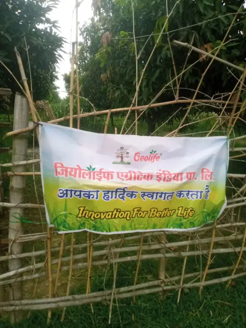 Tree Plantation 2024 – Bihar